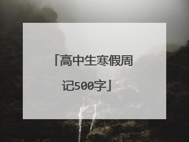 高中生寒假周记500字