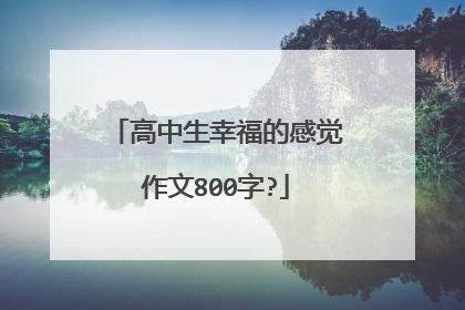 高中生幸福的感觉作文800字?