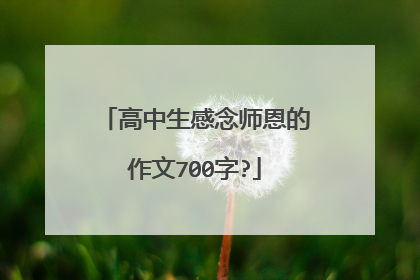 高中生感念师恩的作文700字?