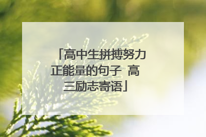 高中生拼搏努力正能量的句子 高三励志寄语
