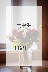高中生日记