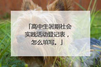 高中生暑期社会实践活动登记表，怎么填写。