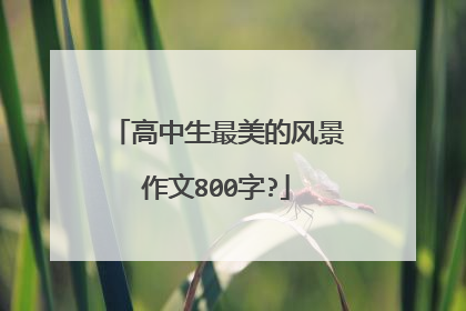 高中生最美的风景作文800字?