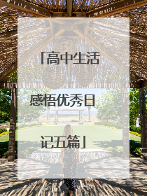 高中生活感悟优秀日记五篇