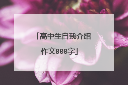 高中生自我介绍作文800字