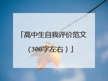 高中生自我评价范文(300字左右)
