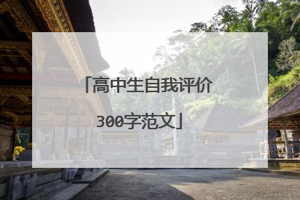 高中生自我评价300字范文