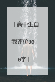 高中生自我评价300字