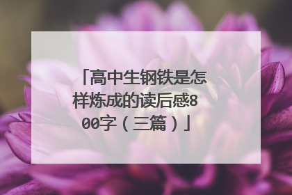 高中生钢铁是怎样炼成的读后感800字(三篇)