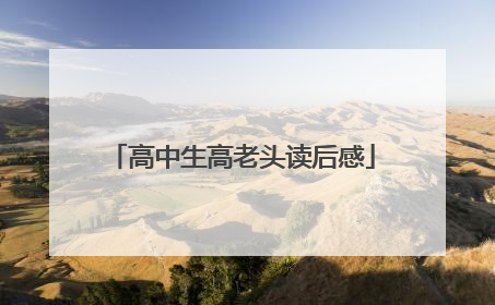 高中生高老头读后感