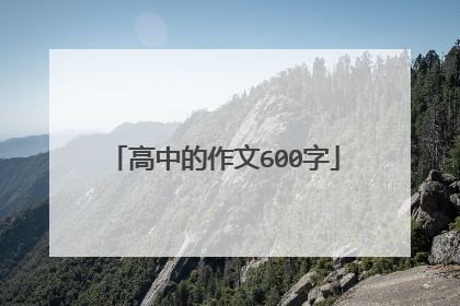 高中的作文600字