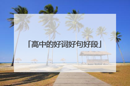 高中的好词好句好段