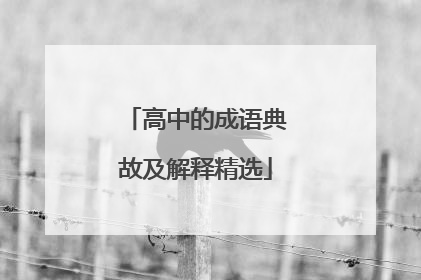 高中的成语典故及解释精选