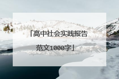 高中社会实践报告范文1000字