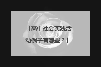 高中社会实践活动例子有哪些?