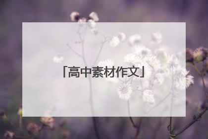 高中素材作文