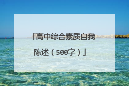 高中综合素质自我陈述(500字)