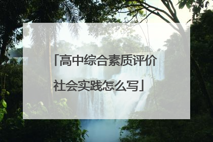 高中综合素质评价社会实践怎么写