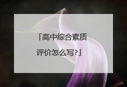 高中综合素质评价怎么写?