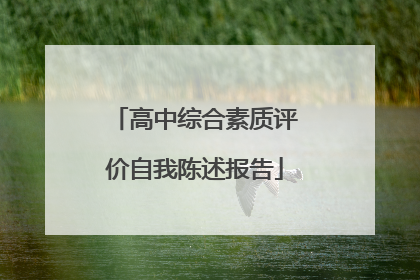 高中综合素质评价自我陈述报告