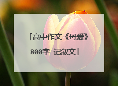 高中作文《母爱》800字 记叙文