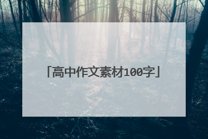 高中作文素材100字