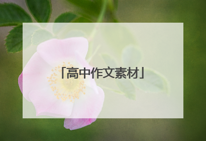 高中作文素材
