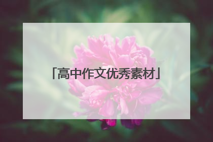 高中作文优秀素材