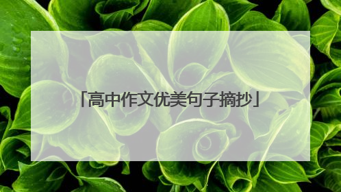 高中作文优美句子摘抄