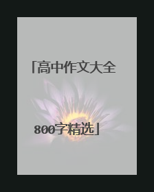 高中作文大全800字精选