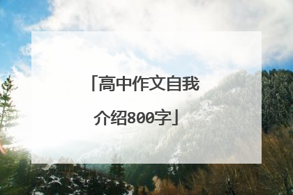 高中作文自我介绍800字