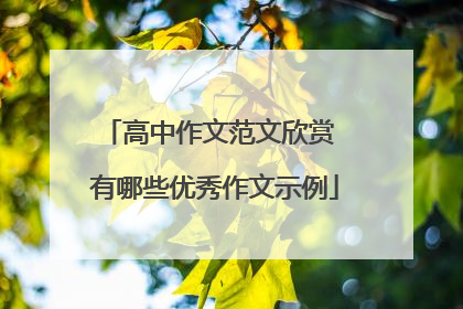 高中作文范文欣赏 有哪些优秀作文示例