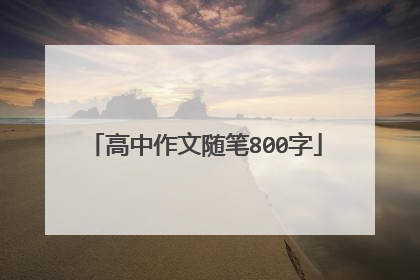 高中作文随笔800字