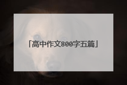 高中作文800字五篇