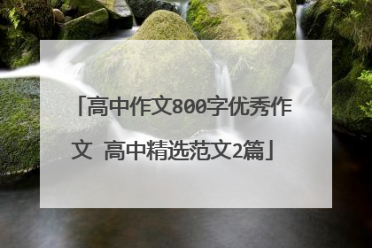 高中作文800字优秀作文 高中精选范文2篇