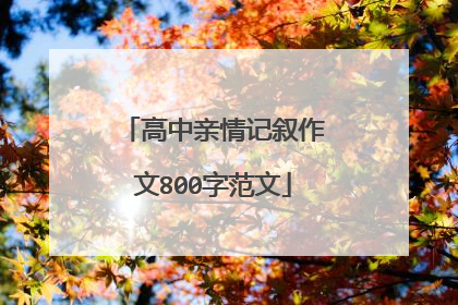 高中亲情记叙作文800字范文