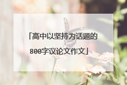 高中以坚持为话题的800字议论文作文