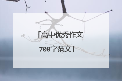 高中优秀作文700字范文