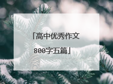高中优秀作文800字五篇