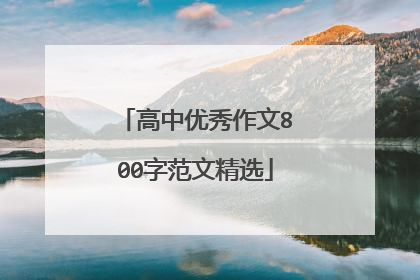高中优秀作文800字范文精选