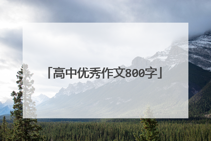 高中优秀作文800字