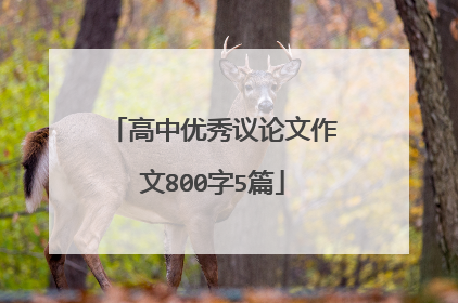 高中优秀议论文作文800字5篇