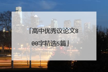 高中优秀议论文800字精选5篇