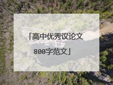 高中优秀议论文800字范文