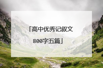 高中优秀记叙文800字五篇
