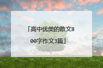 高中优美的散文800字作文3篇