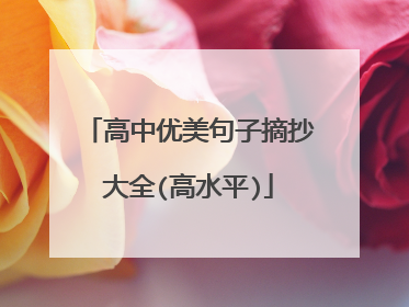 高中优美句子摘抄大全(高水平)