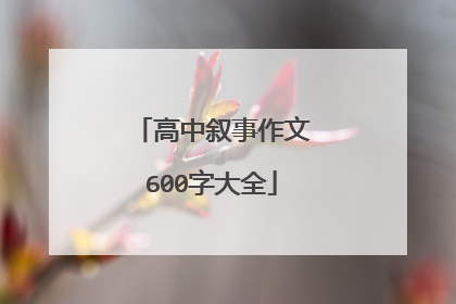 高中叙事作文600字大全