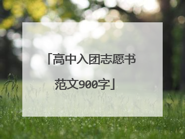 高中入团志愿书范文900字