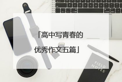 高中写青春的优秀作文五篇